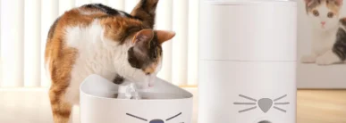 Mega_Menu_PIXI_Series an image of a cat with a feeding machine