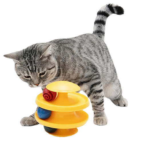 an image with a cat playing with a cat toy